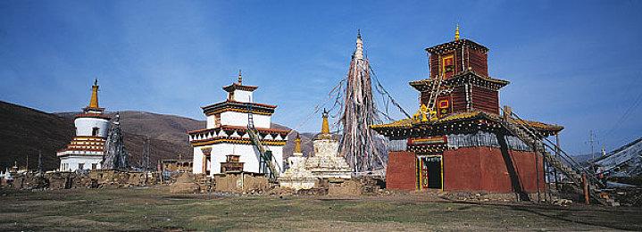 《牧场物语 橄榄镇与希望的大地》确定与《天穗之咲稻姬》联动！